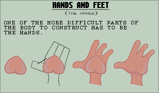 Hands and Feet